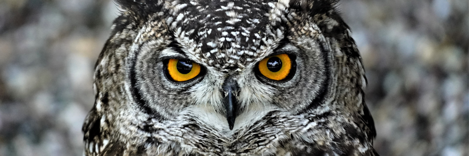 Selbsbild
