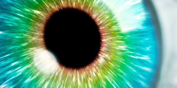 Wie navigierst du in die Welt Wie navigierst du in die Welt